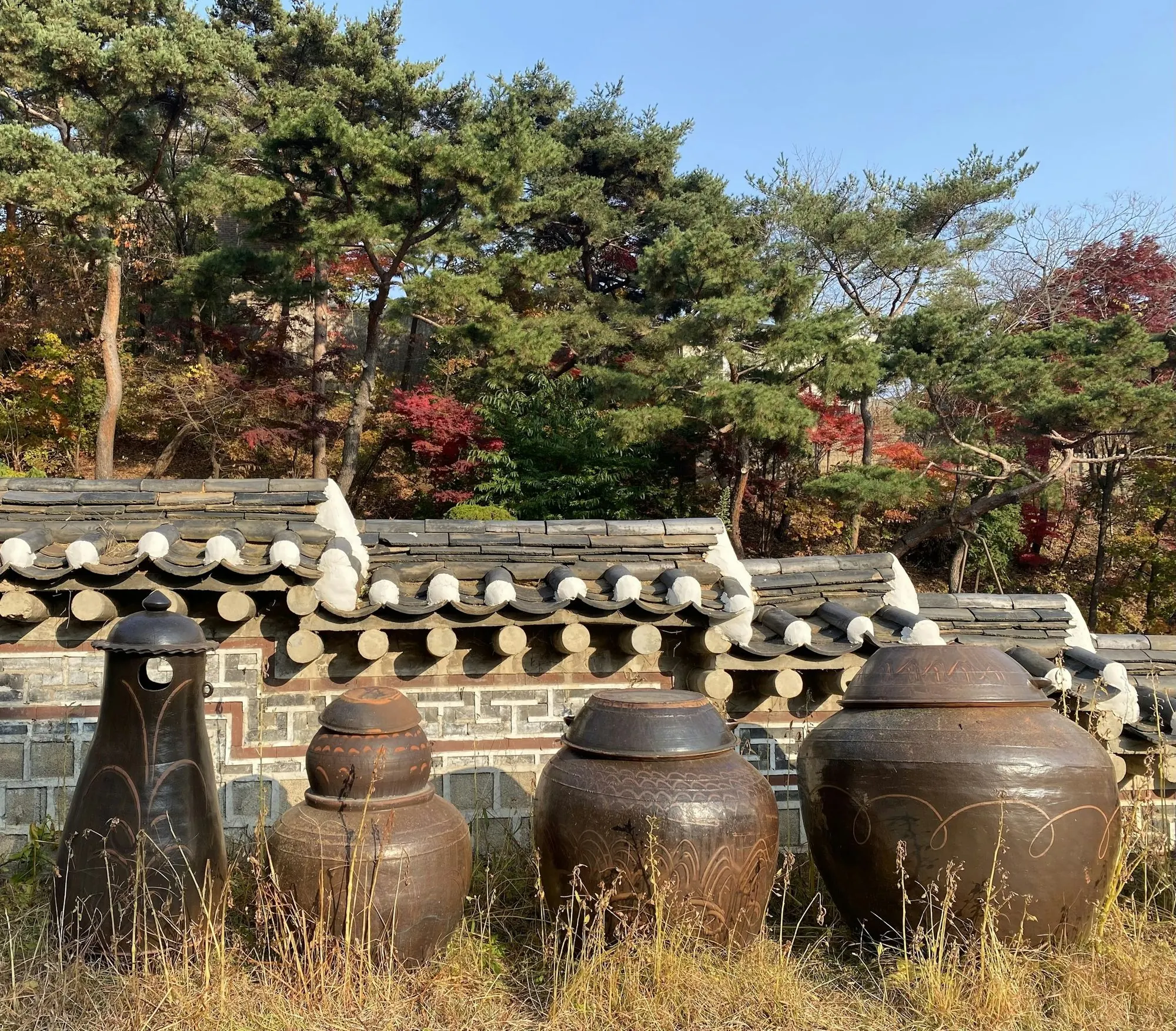 가을 단풍 아래 돌담 앞에 늘어선 장독들